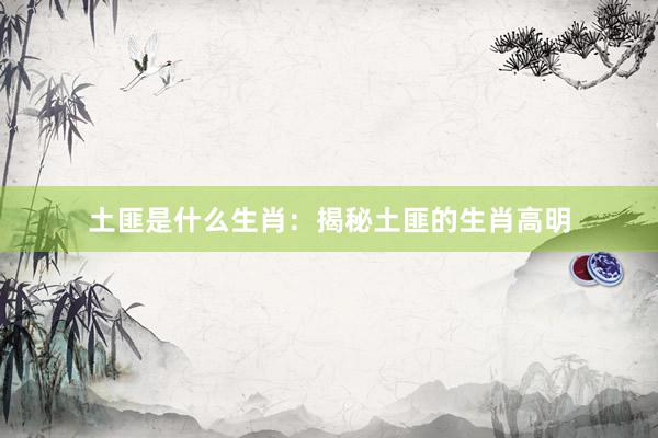 土匪是什么生肖：揭秘土匪的生肖高明